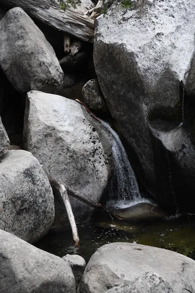 DSC_4523 (Large).JPG